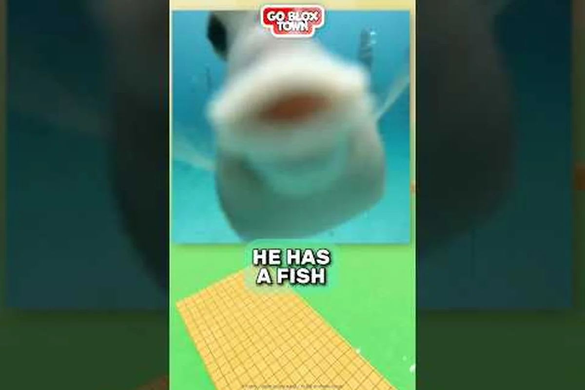 DONT SPLASH rescue speed upgrade: Value Check