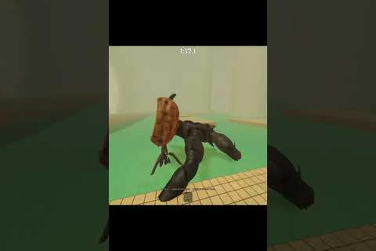 DONT SPLASH How to Use the Rescue Rope in a Run
